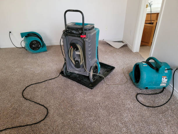Best 24/7 water damage repair  in South Temple, PA
