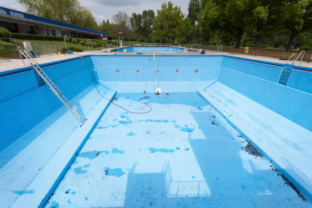 Best Water damage restoration experts  in South Temple, PA