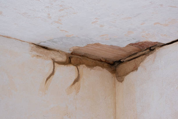 Best Local water damage restoration  in South Temple, PA
