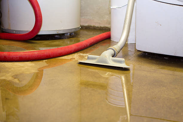 Best Mold removal after water damage  in South Temple, PA