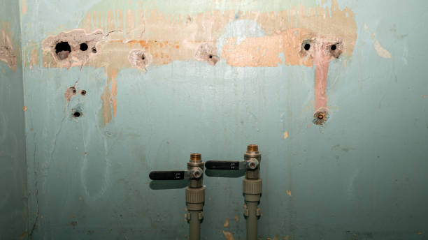 Best Ceiling water damage repair  in South Temple, PA