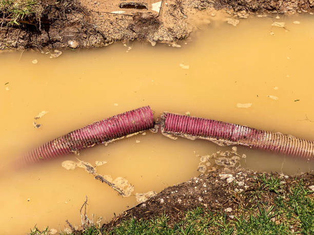 Best Carpet water damage restoration  in South Temple, PA